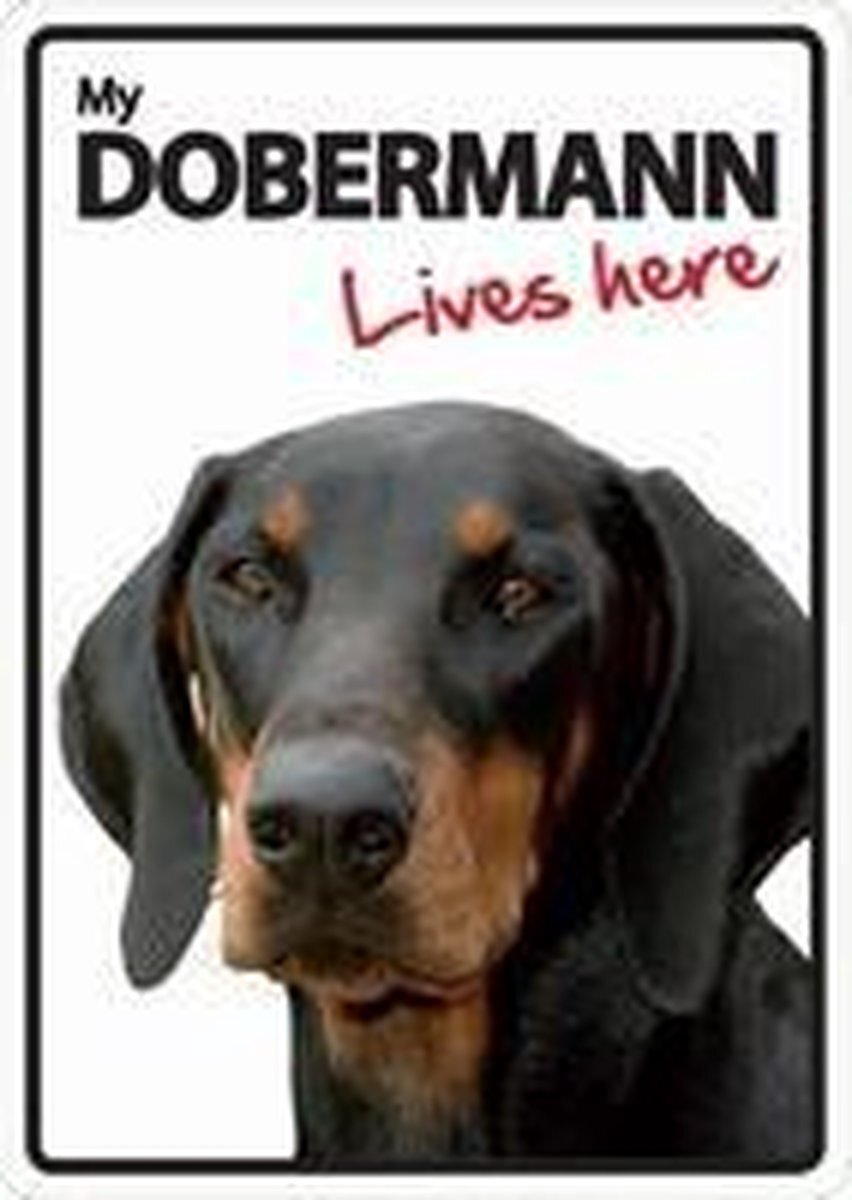 Over Dieren Dobermann lives here
