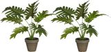 Mica Decorations Plante artificielle Philodendron - 2 pièces - Vert - H30 cm
