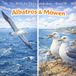 Albatros & Möwen: Die Welt der Tiere entdecken - Band 19