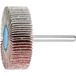 PFERD TOOLS 44506066 Lamellenslijper Diameter 50 mm 10 stuk(s)