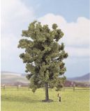 NOCH 25880 Linde Boom 190 mm Schaal 0
