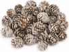 Dijk Natural Collections Kleine dennenappeltjes - 90 gram bruin - 1,5-2 cm - kerstdecoratie - herfstdecoratie