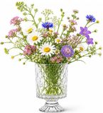 Alessandro vase Georgeous - transparent decorated glass - H18 cm - cylinder shape - on base