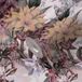 A.S. Création Vliestapete Dream Flowery 381775