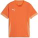 Puma TeamGoal wedstrijdshirt voor kinderen jr 705748