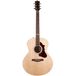 Godin Forum Naturel RN GT EQ guitare folk électro-acoustique