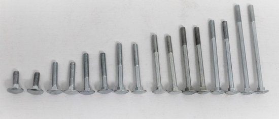 Homefix Slotbouten met moeren - 8 x 80 mm - 12 stuks