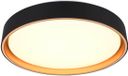 RL LIVE YOUR LIGHT REALITY FELIS - Plafondlamp - Zwart-goud - incl. 1x SMD 24W - Dimbaar - Memory functie - Aanpasbare lichtkleur
