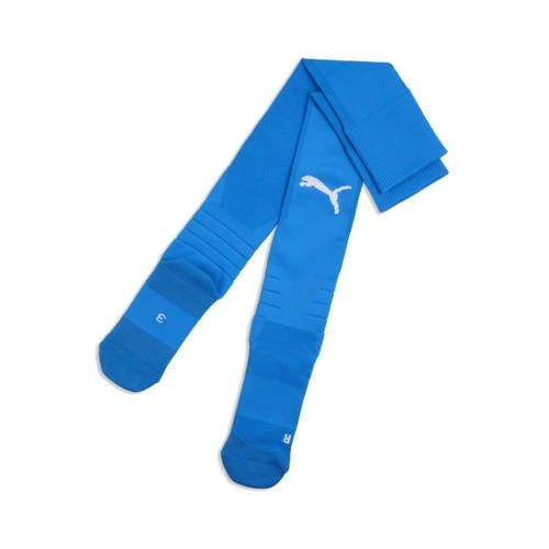Puma teamLIGA26 Socks (31 - 34) Blauw