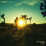 You Bertus You Radiate - Coloured Vinyl - LP