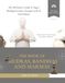 The Book of Mudras, Bandhas and Marmas: The Definitive Guide to Yoga's Healing Gestures, Energy Locks and Vital Points