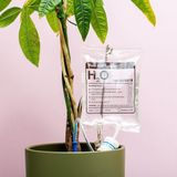 Bubblegum Stuff Druppel zak Automatisch Watergeef Systeem | Plantenwaterer - Life Support Irrigatieapparaat | Druppelaar kamerplanten - | Planten Watergever met Druppelsysteem 350ml