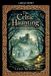 Celtic Libri GmbH Celtic haunting Paperback 19 januari 2026