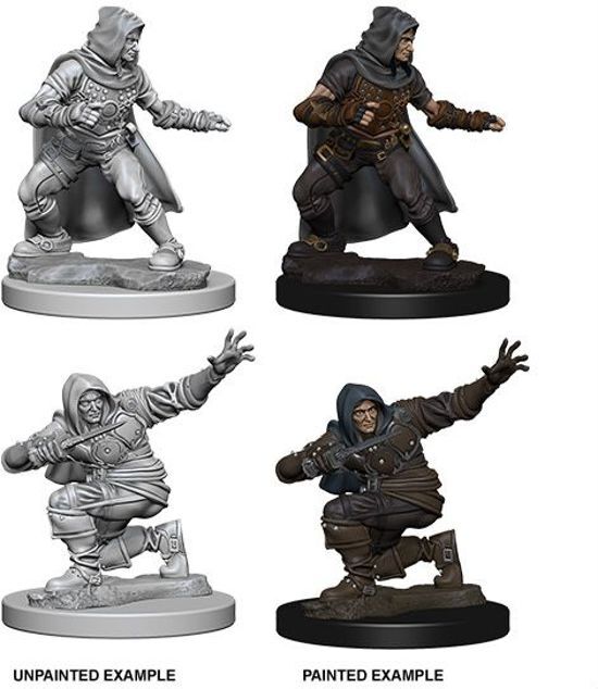 WizKids Pathfinder Battles Deep Cuts Miniatures: Human Rogue, Male