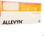 Smith & Nephew Allevyn Gentle Border Lite Pansement 10x20cm - 10 pièces