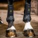 Horseware Adagio Beenbeschermers Zwart Maat L