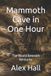 Mammoth Independently Published Mammoth Cave in One Hour Paperback