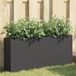 Maison Exclusive - Jardinière surélevée avec 2 compartiments, noire, 90x20x40 cm, en polyrotin