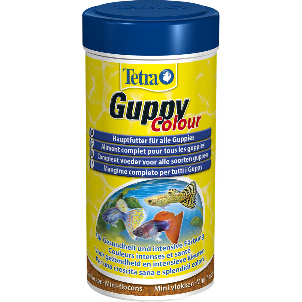 Tetra Guppy Colour - 4004218197190