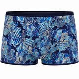Hom Temptation short Barret blue print