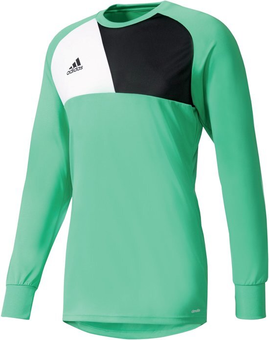 Adidas Assita 17 GK Jersey Keepersshirt Heren Sportshirt - Maat M - Mannen - groen/zwart/wit