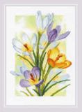 Riolis Spring Glow - Broderie Crocus (kit) 2190