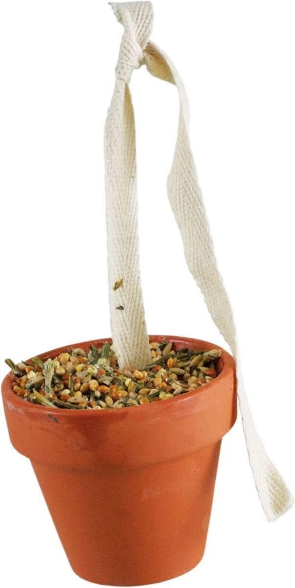 JR Farm Kleipot voor Graspiet en Kanarie 80g