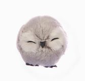 Uil Bal Cute (Ø10cm) hangende kerstdecoratie, grijs