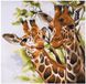 Trimits Borduurpakket Giraffen