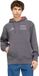 Adidas Performance Audi Revolut F1 Team Coureurshoodie - Heren - Grijs