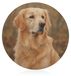 Merkloos Icecat Chopping Block met Golden Retriever Print