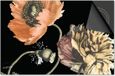 Dietrix Inductie Beschermer - 81x52cm - Botanical - Bloemen op Zwart