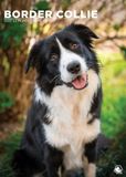 CalendarsRUs Border Collie A3 Kalender 2027