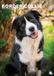 CalendarsRUs Border Collie A3 Kalender 2027