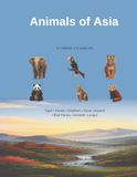 Asian Animals