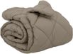 vidaXL Dekbed 200 x 220 cm 450 gsm Microvezel (100% polyester) Gris clair