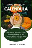 How Calendula How to grow Calendula flower for beginners: The Ultimate Beginner’s Guide to Growing, Caring for, and Harvesting Stunning Calendula at Home and garden