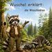 Wuschel erklärt - die Waschbären