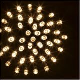 Feeric Lights & Christmas Guirlande Lichtslinger 30 m Koud Wit