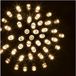 Feeric Lights & Christmas Guirlande Lichtslinger 30 m Koud Wit