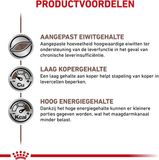 Royal Canin Hepatic Hond - blik 24 x 420 g