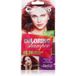 Delia Cosmetics Cameleo Wild Plum Coloring Shampoo 40ml