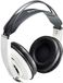 Superlux HD681EVO Comfort hoofdtelefoon wit