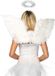 Leg Avenue Angel Accessory Kit
