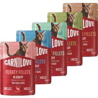 Carnilove Pouch Gravy Cat - Wild Zwijn verrijkt met Kamille - 24 x 85 g