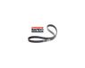 Bando Courroie de transmission pour Scooter Suzuki 200 Uh Burgman 2017 Neuf