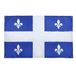 AZ FLAG Vlag Quebec 150x90 cm Quebec Polyester Lichtgewicht 4 Oogjes
