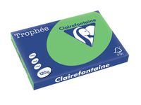 Clairefontaine Trophée Intens A3 grasgroen 120 g 250 vel