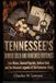 TENNESSEE'S BURIED GOLD AND VANISHED FORTUNES: Lost Mines, Buried Payrolls, Outlaw Gold, and the Masonic Legends of the Volunteer State