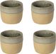 Costa Nova Arenito tasse à expresso sauge vert set de 4